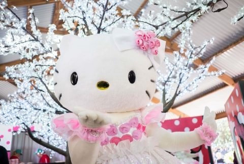 Sydney Cherry Blossom Festival - KODARI Magazine